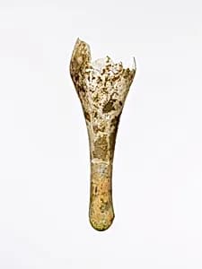 Glass fusiform bottle fragment by Unknown Artist