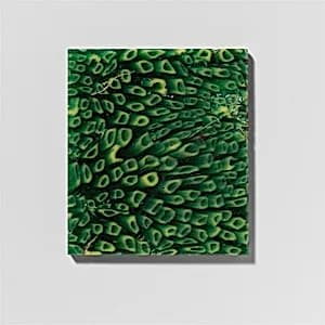 Glass revetment plaque fragment by Unknown Artist