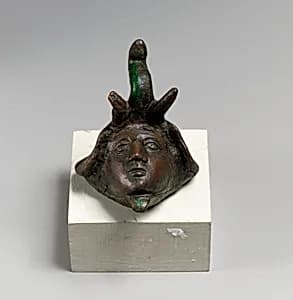 Head with elephant spoils by Unknown Artist
