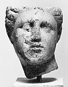 Marble head of a woman by Unknown Artist