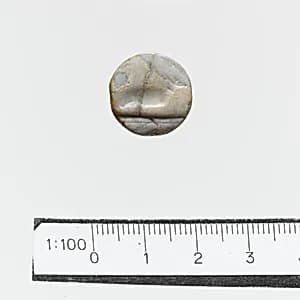 Seal by Unknown Artist