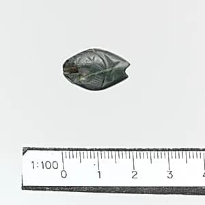 Seal by Unknown Artist