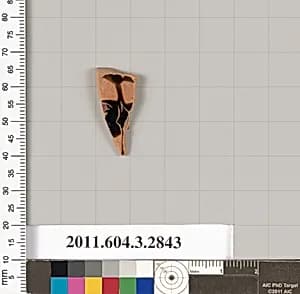 Terracotta fragment of a closed shape by Unknown Artist