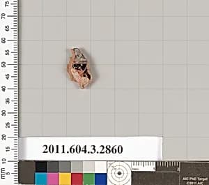 Terracotta fragment of a closed shape by Unknown Artist