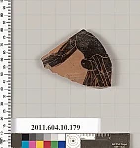 Terracotta fragment of a closed shape by Unknown Artist