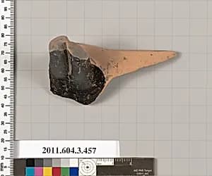 Terracotta fragment of a neck-amphora (jar) by Unknown Artist