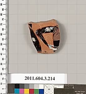 Terracotta fragment of a neck-amphora of Nicosthenic shape (jar) by Unknown Artist
