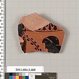 Terracotta fragment of an amphora (jar) by Unknown Artist