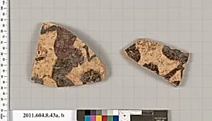 Terracotta fragments of a closed shape by Unknown Artist
