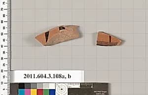 Terracotta fragments of amphorae (jars) by Unknown Artist