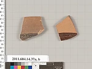 Terracotta fragments of closed shapes  by Unknown Artist