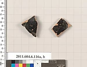 Terracotta fragments of open shapes by Unknown Artist