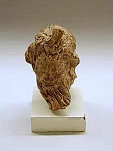 Terracotta head of Pan by Unknown Artist