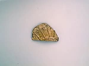 Vase fragment by Unknown Artist