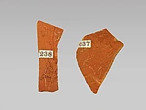 Vase fragment by Unknown Artist