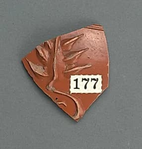 Vase fragment by Unknown Artist