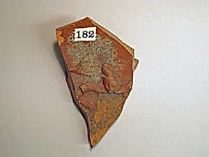 Vase fragment by Unknown Artist