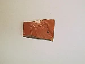 Vase fragment by Unknown Artist