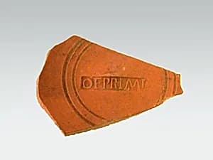 Vase fragment by Unknown Artist