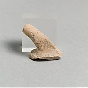 Vase fragment by Unknown Artist
