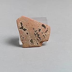 Vase fragment by Unknown Artist