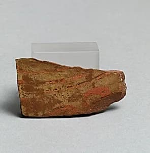 Vase fragment by Unknown Artist