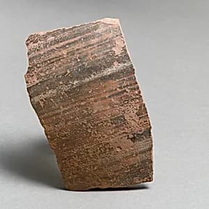 Vase fragment by Unknown Artist