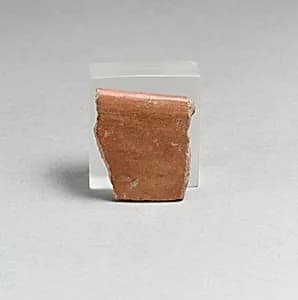 Vase fragment by Unknown Artist