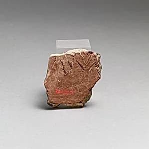 Vase fragment by Unknown Artist