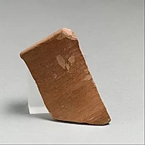 Vase fragment by Unknown Artist