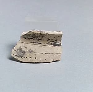 Vase fragment by Unknown Artist