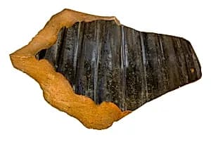 Volute-krater fragment by Unknown Artist