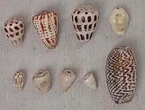 Bead by Unknown Artist