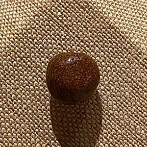 Bead by Unknown Artist