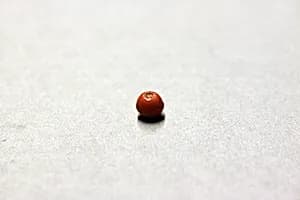 Beads by Unknown Artist