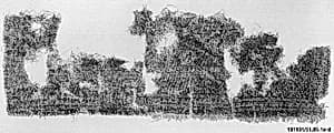 Carpet Fragment by Unknown Artist