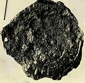 Coin by Unknown Artist