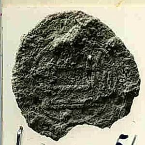 Coin by Unknown Artist