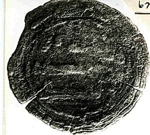 Coin by Unknown Artist