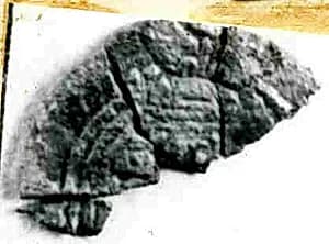 Coin by Unknown Artist