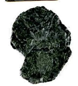 Coin by Unknown Artist