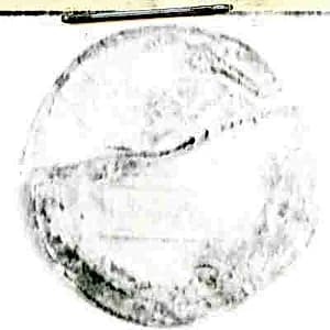 Coin by Unknown Artist