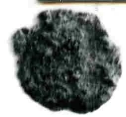 Coin by Unknown Artist