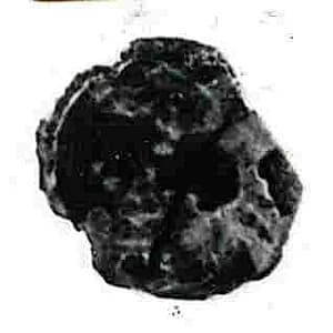 Coin by Unknown Artist