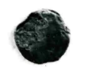 Coin by Unknown Artist