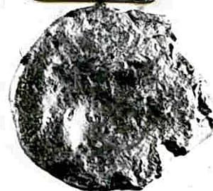 Coin by Unknown Artist