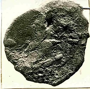 Coin by Unknown Artist