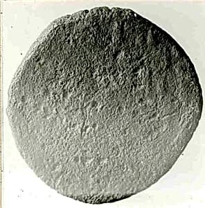Coin by Unknown Artist