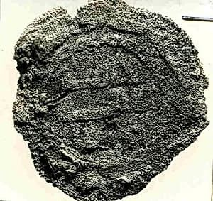 Coin by Unknown Artist