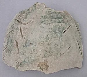 Fragment by Unknown Artist